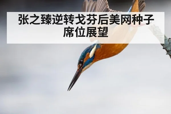 张之臻逆转戈芬后美网种子席位展望